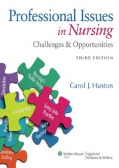 Professional Issues in Nursing, 3/e: Challenges and Opportunities 
