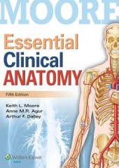 Essential Clinical Anatomy, 5/e(IE)