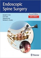 Endoscopic Spine Surgery , 2/e