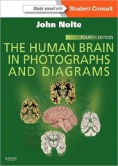 The Human Brain in Photographs and Diagrams, 4/e