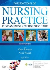 Foundations of Nursing Practice, 2/e