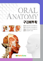 구강해부학 Oral Anatomy