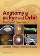 Anatomy of the Eye and Orbit