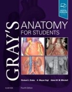 Gray's Anatomy for Students, 4/e