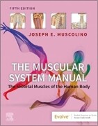 The Muscular System Manual, 5th Edition: The Skeletal Muscles of the Human Body