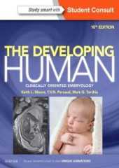 The Developing Human, 10/e