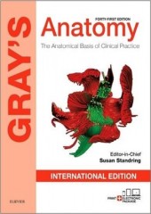 Gray's Anatomy,41/e(IE)