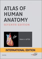 Atlas of Human Anatomy, 7/e (International Edition)