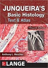 Junqueira's Basic Histology: Text and Atlas, 15/e (IE)