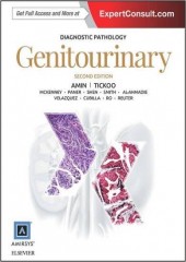 Diagnostic Pathology : Genitourinary, 2/e