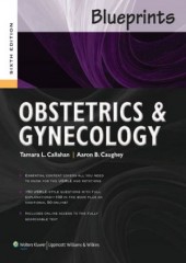 Blueprints Obstetrics & Gynecology, 6/e