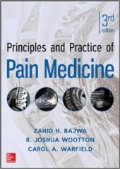 Principles and Practice of Pain Medicine , 3/e