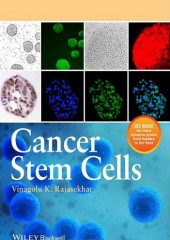 Cancer Stem Cells 