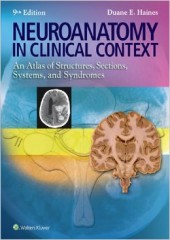 Neuroanatomy in Clinical Context, 9/e(IE)