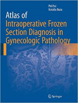 Atlas of Intraoperative Frozen Section Diagnosis in Gynecologic Pathology 