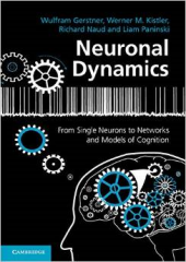 Neuronal Dynamics: From Single Neurons to Networks and Models of Cognition